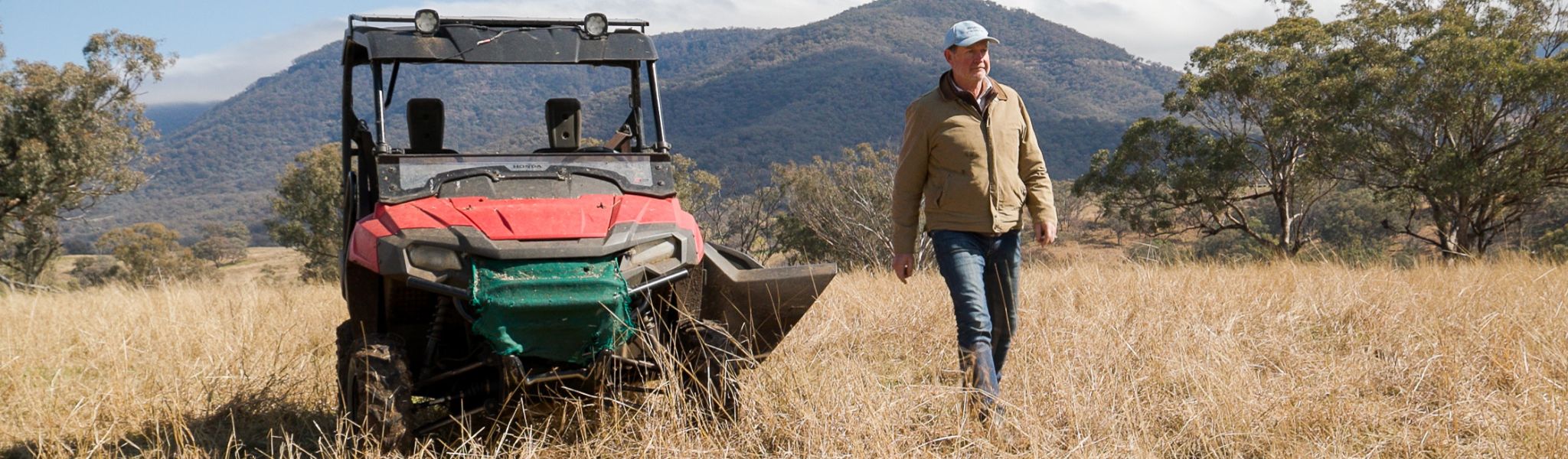 Managing conservation on your land
